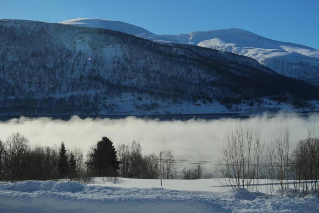 New Magnificent View Apartment Near The Centre Tromsø Exterior foto